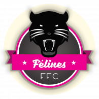 logo felines